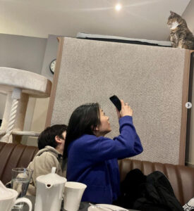 猫カフェでの宇多田ヒカルと息子